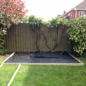 shed hedge final (1024x1024)